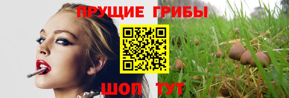 Галлюциногенные грибы мицелий Улан-Удэ