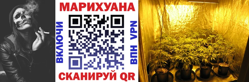 Конопля план  площадка официальный сайт  Улан-Удэ 